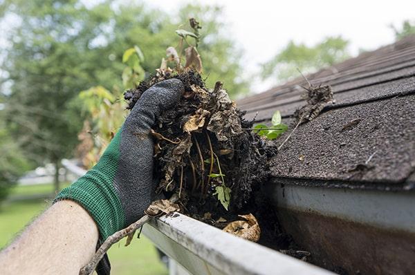 it's important to use a sturdy ladder and wear proper safety gear when performing gutter cleaning